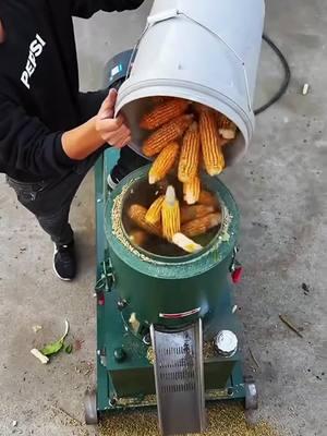 Corn cobs directly used as feed pellets #pelletmachine #pelletmaker #pellet #feedpellet #fuelpellets #feedgranulator #pelletmachinefactory #forage #cowfeed #sheepfeed #pelletfeed #pellets 