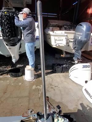 After I clean it up with a new water pump #marinetechnicians #seeveeboats #foryou #saltlife #marina #mercurymarine #fyp 