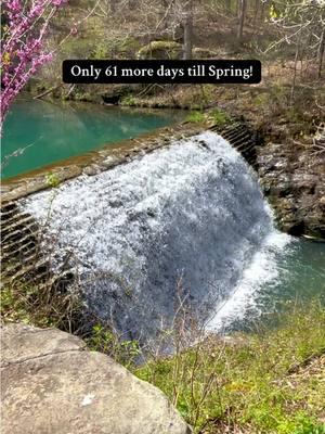 On the bright side, only 61 more days till spring!  📍 Gunner Pool Rec Area, near Mountain View AR Look for pin 30 on our easy access / kid friendly Falls in AR map. Find the map in the linktree in our bio!  #waterfall #arkansaswaterfalls #waterfallsinarkansas #Arkansas #happydog #lablife #dogsoftiktok 