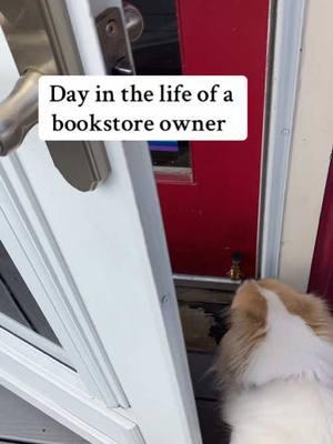 This has been in my drafts forever 😂 but I feel like the last days on this app are a good time to post content you’ve been asking for, but I’m terrible at filming 🤦‍♀️ #BookTok #bookseller #SmallBusiness #bookish #bookshop #booknerd 