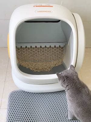 Life Changing after I receive this Meowant Litter Cat Box .  💕🤩👍 #litterbox#cat#cats#catmom#catlitterbox#meowant#meowantlitterbox#litterboxrobot#litterboxcleaning#cleaning#asmr#foryou#fyp#usa#losangeles#TikTokShop#massfollowing#teamwork 