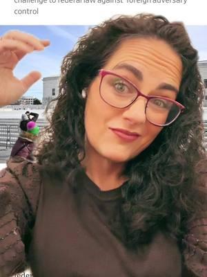 #greenscreen pretty much all #tiktok #users right now… the #tiktokban is coming… what’s your plan b? Follow me on YouTube and the Gran - maryelizabethspeaks. #fyp #breakingnews #supremecourt #whatnext #foryoupage 