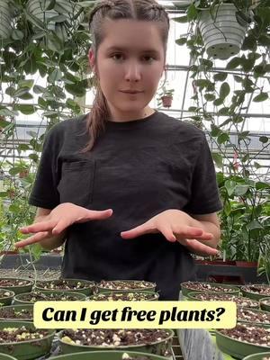 Nice try 😗 #fyp #plants #freeplants #plantperks #planthumor #greenhouse #SmallBusiness #gabriellaplants 