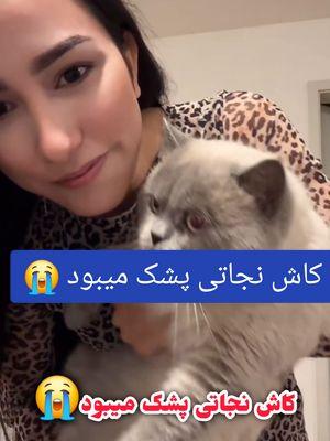 @🇹🇷 Nejaty Afghan 🇦🇫 @haniyemazariofficial #foryou #fyppppppppppppppppppppppp #afgbest #fyp #afghanistan #viral #persianmedia 