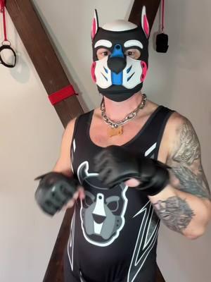 Check out my moves! #dance #dancemoves #pupplay #puppyplay 