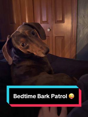 Bedtime Bark Patrol 😜 This is what we call a ‘lazy bark.’ Just loud enough to let them know I’m listening, but not loud enough to leave bed 🤣 Just because I’m in bed doesn’t mean I’m clocked out, I'm always on duty 👀 #dog #dogsoftiktok #dachshund #miniaturedachshund #fy #fyp #foryou #foryoupage #tiktok #viral #trending #happydog #funnydog #sausagedog #sausagedogsoftiktok #wienerdog #barking #nightshift #protect #bedtime #onduty 