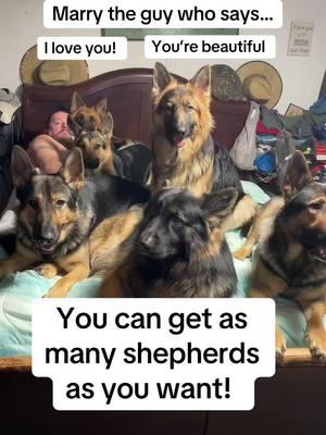 Solid advice…25 years with my guy! #Love #gsd #dog #dogs #iloveyou #germanshepherd #dogmom #dogslife #25years #shepherd 