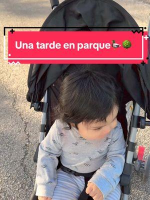 Una tarde con nosotros🌳🦆🦆#paratiiiiiiiiiiiiiiiiiiiiiiiiiiiiiii #viraltiktok #juevesdetiktok #jueves #patos #parque #tardes 