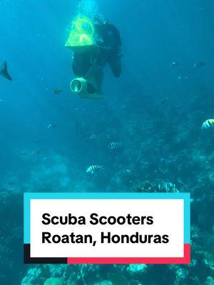 Exploring the stunning underwater world of Roatán, Honduras 🌊🐠 with BOSS Scuba Scooters! 🚀 Dive like never before and get up close with vibrant coral reefs, tropical fish, and crystal-clear waters 🌴✨ Perfect for beginners and adventurers alike! 🐟🌞 📍 Location: Roatán, Honduras 🎥 Experience the adventure today! #BOSSScooters #RoatanAdventures #ScubaLife #TravelHonduras #UnderwaterWorld #fyp #thegaryalan #CapCut #carnival #carnivalcruise @carnival 