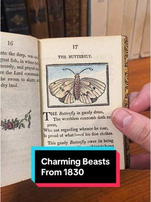 Charming beasts from 1830!  #books #BookTok #bookcollector #oldbooks #rarebooks #bookillustration 