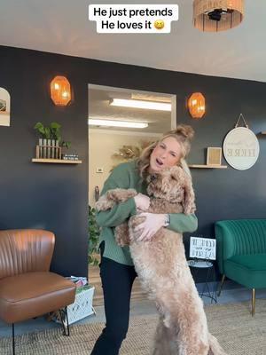 💯 my Murphy man! #goldendoodlesoftiktok #goldendoodle #f1goldendoodle #mamasboy #dogsoftiktok #dogs #salon #hairsalon #hairstylist 