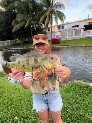 🇬🇧 Some of the moments caught on camera while @Ina Roams and I fished everything we could on the lakes and canals around Miami 💪🏼🎣👊 . 🇷🇸Neki od trenutaka zabeleženih kamerom dok smo @inaroams i ja pecali sve sto smo mogli na jezerima i kanalima po majamiju 💪🏼🎣👊 . #fishing #nature #catchandrelease #fish #globalfisherman #bassfishing #peacockbass #largemouthbass #aquarium #guapote #miami #spinning #flyfishing #fishinglife #fishingtime #Outdoors #lake #freshwaterfishing #germany #serbia #gofishing #angeln #pecanje #exotic #palmtrees  #hook #reel #rodandreel #cast