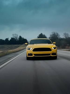 Is Triple Yellow the best color on an S550 Mustang? 💛 #s550 #mustang #s550only #s550mustang #s550nation #stangs#fordperformance #fordbuilttuff #fordmustang #mustanggt #mustangfanclub #mustangnation #mustanglife #mustangmagazine #fordmustanggt #mustangaddicts #mustangclub #mustangsaddiction #mustangmonday #ford #mustangram #mustangcobra #mustangsonly #cars