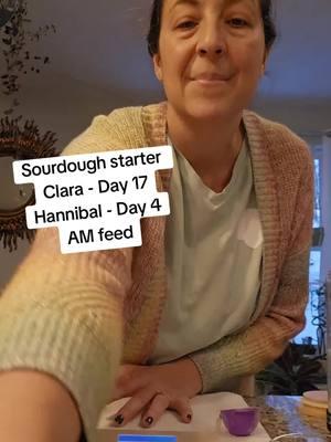 Sourdough starter day 17 & 4 #sourdoughstarter  #resolution2025  #claradough  #hannibalrising 