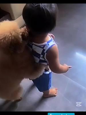 Cute Babies vs Cat and Dog Funny short video🤪🤪🤪from United States🤣🤣🤣🤣 #cutebabies #funnyvideos #ha #funnybaby #TikTokfunny #fyp #babiesfunny #TikTok #viral #😂 #lovebaby #foryoupage #shorts #video #cute #koherai #cat #😅 #Kingdom #socute #sofunny #viralfunny #funny #babies #😅 #socute #America #Switzerland #Funny Videos Ali #ali_khan__97 #waleed_mdz #mdz #usa🇺🇸 