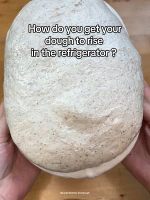 What makes dough rise in the refrigerator? This video will answer that and explain why it happens!  If you’re not already, make sure you’re following me on my other social media, in case TikTok goes bye-bye! ☹️ all links are in my profile!  #s#sourdoughs#sourdoughtipss#sourdoughstarter#a#activestarters#sourdoughscorings#sourdoughbakers#sourdoughtutorials#sourdoughtipsandtrickss#sourdoughbreads#sourdoughhowtob#beginnersourdoughs#sourdoughbeginners#sourdoughforbeginnerss#sourdoughbakingb#breadmakingd#doughrecipeb#bakingtipsh#homemadebreadb#breadrecipes#sourdoughrecipeb#breadbakingM#MakingBreadAtHomea#artisanbreadB#BreadmakingForBeginners