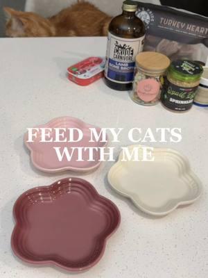 Feed my cats with me 🤍  Chef’s Choice 🍽️ ⟡ @smallsforcats Ground Cow ⟡ @Adored Beast Apothecary Healthy Gut ⟡ @Open Farm Pet Salmon Mousse ⟡ @Oma’s Pride Turkey Hearts ⟡ @Cosmicos Petbakery Quail Egg Sprinkles ⟡ @Petit Pawtisserie Flower Treats ⟡ @crudecarnivore Lamb Bone Broth Discounts 💌 🔖 Smalls Free Sample Box in bio 🔗 ($10 Shipping) 🔖 “SIMPLEKITTIES15” | 15% off Open Farm 🔖 “SIMPLEKITTIES15” | 15% off Cosmicos 🔖 “SIMPLE25” | 25% off Oma’s Pride 🔖 “SIMPLEKITTIES15” | 15% off Crude Carnivore 🔖 $20 off Adored Beast in bio 🔗 🏷️✨ #catparent #catcare #catfood #petfeeding #cattreat #cattreats #pettreats #whatmycateats #whatifeedmycats #feedmycat #feedmycatswithme #feedingmycats #cateating #catfeeding #feedingcats #catfeedingroutine #catfoodprep #catfoodrecs #catfoodideas #petfood 