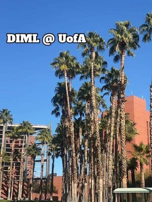 DIML staying productive at school❤️ SO HAPPY TO BE BACK #uofa #arizona #zona #college #diml #collegediml FOR 