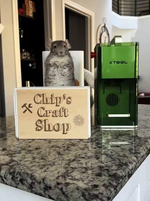 We are SO excited to finally have our xTool F1 Lite Laser Engraver! It’s super fast and user-friendly and can safely engrave all things pet related. I have so many ideas for the chins using our engraver, I can’t wait to make more! @xtoolofficial #sponsored #xtool #xtoolf1lite #xtoolmade #chinchilla #pets #customized #DIY #laserengraving #lasercutting