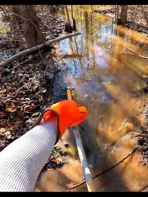 2 Dams Flowing, 2 More To Go! || Beaver Dam Removal! #beaverdamremoval #beaverdam #gatorcreek #damremoval #beavers #dam #drain #draining #water #unclogging #terrellspivey #fypシ゚ #foryoupageシ #foryou #viralreels #viralvideo #foryoupageofficiall #fyp #fyppppppppppppppppppppppp #tiktok #tiktokreels #shorts #tiktokvideos #viraltiktokvideo 