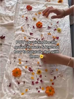 There is nothing I enjoy more than teaching a natural dye class with flowers I grew myself! 🌼  I can’t believe today is our last day together here on Tiktok 🥲 Follow us on IG & subscribe to our newsletter so we can still be friends 🌸 #naturaldye #dyegarden #naturaldyegarden #lailatextiles #chicagonaturaldye #thingstodoinchicago #bucketlistchicago 