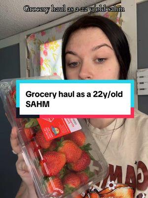 Now its Time for a good deep clean before this weekend starts! #fyp #groceryhaul #groceryday #sahmlife #groceryshoppingonabudget #haul #shoppinghaul #MomsofTikTok #22yearoldmom #momof2 #pregnant #pregnancytiktok #viralvideo 