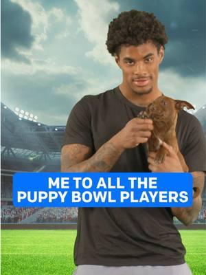 Wait! They don't love #PuppyBowl players like @Buffalo Bills wide receiver @keoncoleman loves them 🐶 #puppies #dogtok 