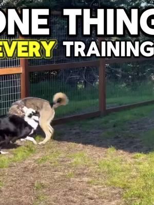 What’s one thing I try to do before EVERY training session with a dog? 🤔 Here’s your answer! #DogTraining #dogtrainer #dogtok #dogsoftiktok #dogtrainerlife #puppytraining #dogtraining101 #dogtrainingrevolution 