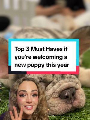 Share this with someone who’s getting a puppy this year! #dogsoftiktok #dogtok #probright