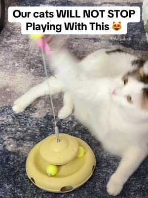 Get this cat toy if your cat gets bored easily 🥰 #cat #catsoftiktok #cattok #cattoys #cattoy #cattoyreview #interactivecattoy #kittentoys #catproducts #catenrichment #tiktokshopfinds #spotlightfinds #tiktokshopjumpstartsale #fyp 