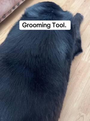 #groomingtools #sleekez #fyp #furremover 