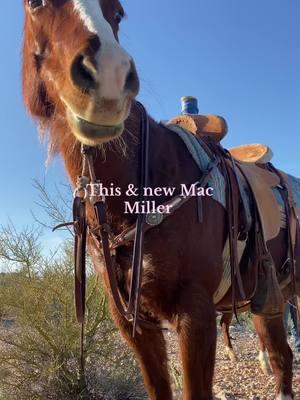 #macmillerforever #cowpony #wickenburg #warbridle 