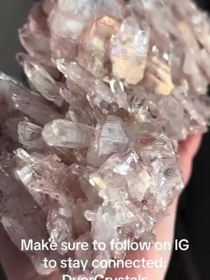 🌸 Sacred Pink Lemurian Alert! 🌸 This breathtaking pink Lemurian has already found its forever home, but it was far too incredible not to share with you all. The energy, the clarity, and the soft, ethereal glow of this piece are simply unmatched. 💎✨ If you’re looking for high-quality statement pink Lemurians—or pink Lemurians in general—send me a DM! I’d love to help you find the perfect addition to your collection. And don’t forget to tag a crystal bestie who absolutely needs to see this beauty! 💕 #LuxuryMinerals #PinkLemurian #LemurianQuartz #HighEndCrystals #CrystalCollector #RareCrystals #CrystalHealing #CrystalEnergy #SacredGeometry #LuxuryLifestyle #CrystalCommunity #MetaphysicalCrystals #MineralArt #LuxuryCrystals #CrystalAddict #CrystalLovers