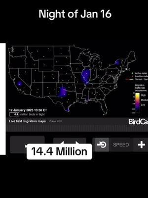 #january #birds #birdcast #cornell #dailyupdate #birdsoftiktok #birdsoftiktok #science #audubon #numbers #data #outside #patterns #birders #habitat #migratorybirds #migration 