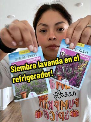 Siembra lavanda en el refrigerador #vlogger #urbanhomesteading #momllennial #gardentok #jardineriaencasa #militarywifelife #latinaenusa 