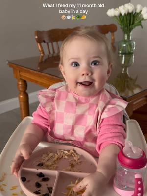 A day of eating with my very hungry Ivy girl👶🏼🍽️🤍 she’s a big foodie & pretty much likes everything I give her🤭 lmk if you want to see more of these!🫶 #whatmybabyeats #whatmybabyeatsinaday #babyeats #babyeating #babyfood #blw #babymeals #babyfoodideas  #momlife #11montholdbaby #babygirl #2024mom 