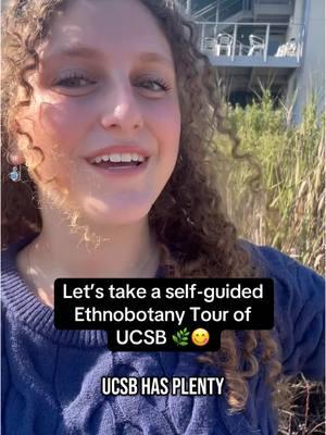 Plant-lovers: Take a solo date to grow closer to UCSB’s natural beauty and learn about edible and medicinal plants on campus 🌱 #UCSB #UCSantaBarbara #Nature #Ethnobotany #CollegeLife #Map #selfguidedtours 