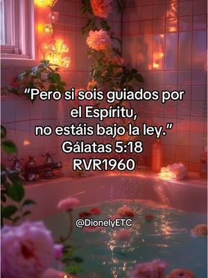 La Mujer Virtuosa es guiada por el Espíritu Santo 🙏🏻💖 “Y manifiestas son las obras de la carne, que son: adulterio, fornicación, inmundicia, lascivia, idolatría, hechicerías, enemistades, pleitos, celos, iras, contiendas, disensiones, herejías, envidias, homicidios, borracheras, orgías, y cosas semejantes a estas; acerca de las cuales os amonesto, como ya os lo he dicho antes, que los que practican tales cosas no heredarán el reino de Dios.” ‭‭Gálatas‬ ‭5‬:‭19‬-‭21‬ ‭RVR1960‬‬ #diosprimero #galatas #vidacristiana #mujervirtuosa #dionely 