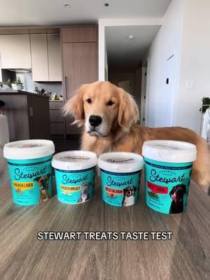 #ad The verdict is in… every flavor gets a 10/10! Stewart Treats never lose their fresh flavor thanks to the convenient tub storage. Shop all flavors of @stewart_pet treats on @Amazon and use code CHARLIESAVE to save 10%! #StewartPet #goldenretriever #goldenretrieverlife #dogtok #dogsoftiktok #goldenretrieverpuppy #dogmom #teenagedog #cutegoldenretriever #chicago #dog #charliethegolden 