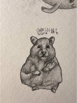 He knows what he’s without🍔🌭           Credit- Chelseazas/IG           #fyp #art #art #sketch #drawing #hamster #evanescence #foryouuuuuuuuuuuuu 