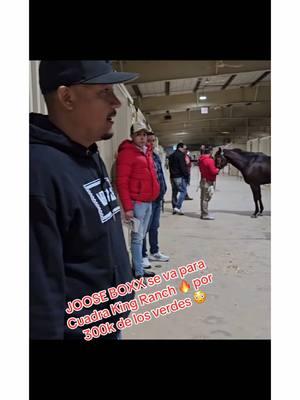 Y se fue El ya famoso JOOSE BOXX asta la cuarta King Ranch por la cantidad de 300k dólares #quarterhorse #california #caballos #event #cuartodemilla #viralvideo #champion #horse #texas 