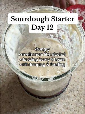 Orlando is making mom so proud #sourdough #sourdoughstarter #sourdoughfeeding #sourdoughforbeginners #sourdoughstarters #sourdoughtok #sourdoughera #guthealth #activesourdoughstarter #starterfeeding #sourdoughtips #sourdoughstarterrecipe 