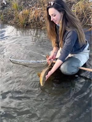 So I guess we’re getting rid of TikTok right as I’m starting to get used to posting on here a little more 🤷🏻‍♀️ #ladyangler #girlswhofish #flyfishing #getoutside #fishing 