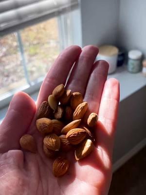 Tap into one of the oldest health secrets out there with this ancient superfood! #apricotkernels #apricotkernel #apricotseeds #superfood #ancientsuperfood 