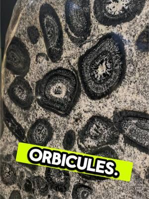 As orbicules develop, the crystallization process removes certain chemical elements from magma, changing its composition.  These orbicules were suspended in molten rock, but which was more dense—the orbicule or the magma? Did the orbicules sink or float? Here's a hint: darker minerals are usually metal-rich, making them dense which would encourage them to settle to the bottom of the magma body. Spot this specimen and more than 5,000 others in the Mignone Halls of Gems and Minerals. #museum #geology #earthscience #education 