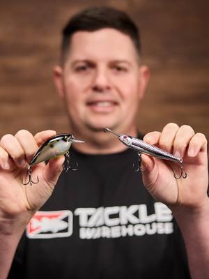 Brand REFRESH! Plus this #WNTW w/ Jake brings Boatloads of brand NEW baits from Strike King, Texas Swimbaitz, Savage Gear & VMC! #TackleWarehouse #WNTW