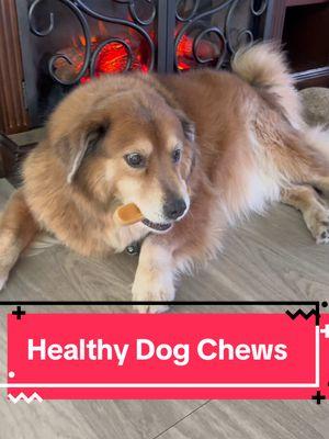 #creatorsearchinsights #chewing #dogchews #yakcheese #healthydogchews 