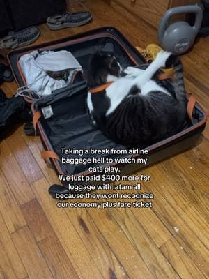 #latamairlines has the worst customer service by far. #findingsomejoy #baggage #catvideo #catzoomies #packing 