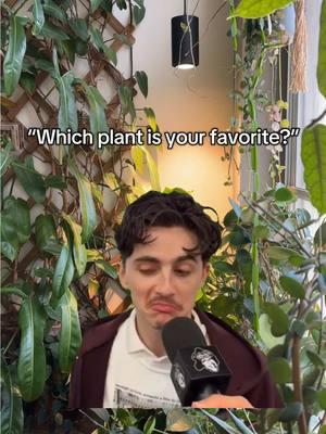 That’s a tough question… 😅🪴 #plantparent #plantcommunity #plants #houseplants #indoorplants #planttiktok #PlantTok #plantsoftiktok 