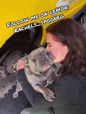 I’ll Follow back!  #rachelsspooneg #eg #hatchie #fyp #cargirl #frenchie #frenchbulldog #hubs #brakejob #k20 #k24 #honda 